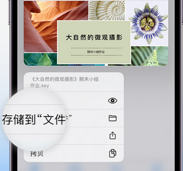 江门apple维修中心分享iPhone文件应用中存储和找到下载文件