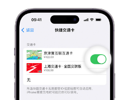 江门apple维修点分享iPhone上更换Apple Pay快捷交通卡手绘卡面 