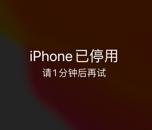 江门苹果手机维修分享:iPhone 显示“不可用”或“已停用”怎么办？还能保留数据吗？ 