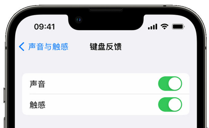 江门苹果手机维修分享iPhone 14触感键盘使用方法 