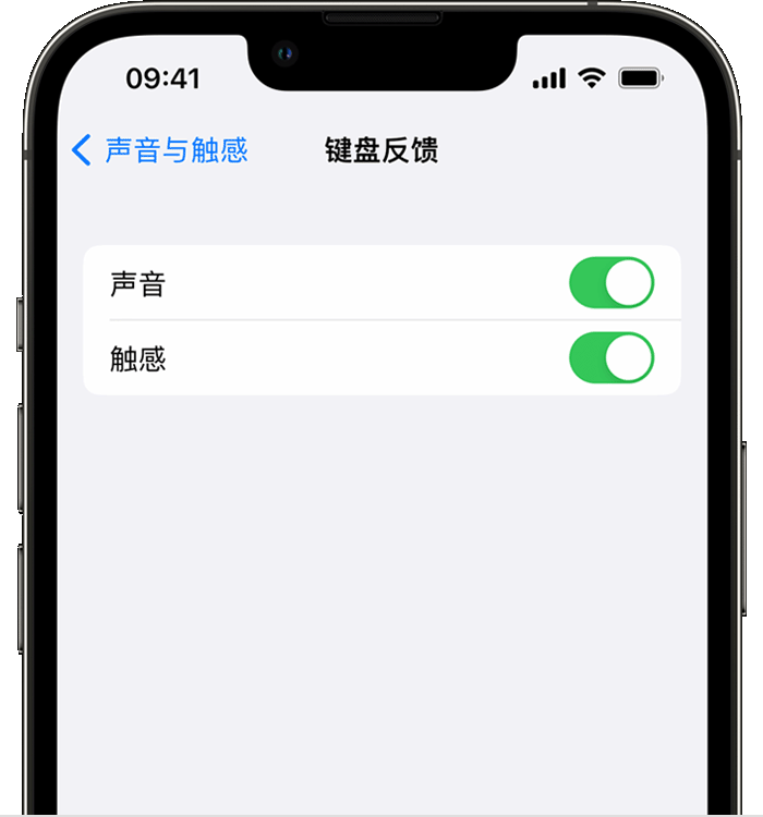 江门苹果14维修店分享如何在 iPhone 14 机型中使用触感键盘 