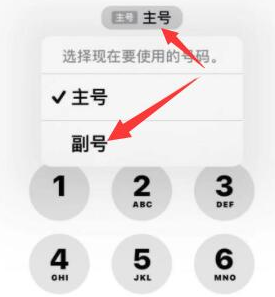 江门苹果14维修店分享iPhone 14 Pro Max使用副卡打电话的方法 