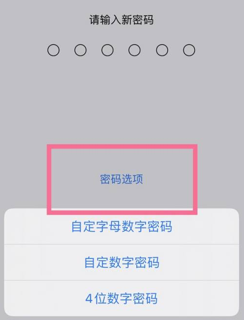 江门苹果14维修分享iPhone 14plus设置密码的方法 