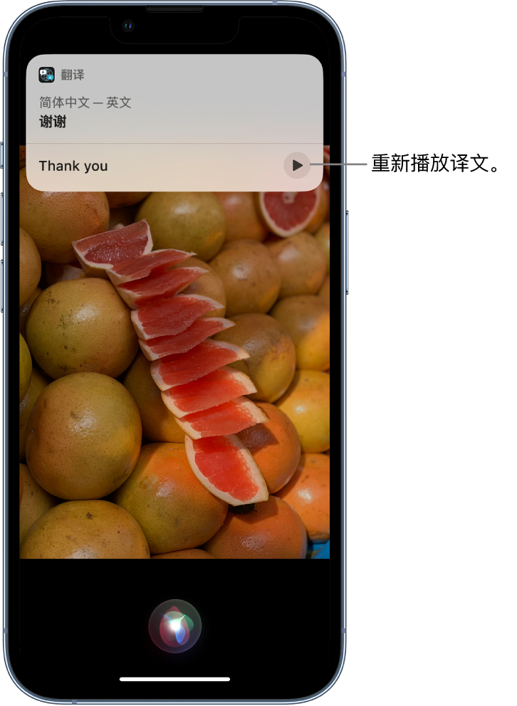 江门苹果14维修分享 iPhone 14 机型中使用 Siri：了解 Siri 能帮你做什么 