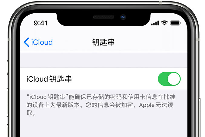 江门苹果手机维修分享在 iPhone 上开启 iCloud 钥匙串之后会储存哪些信息 