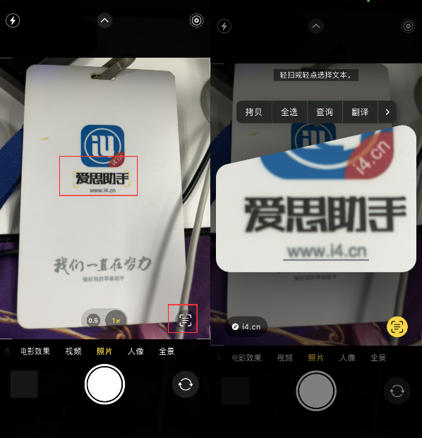 江门苹果手机维修分享升级iOS 16后如何通过相机翻译文本 