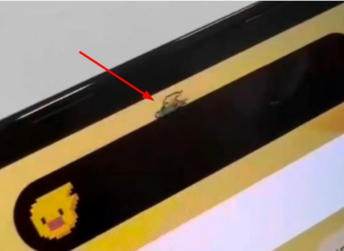 江门苹果14维修分享iPhone 14 Pro Max灵动岛怎么养宠物 