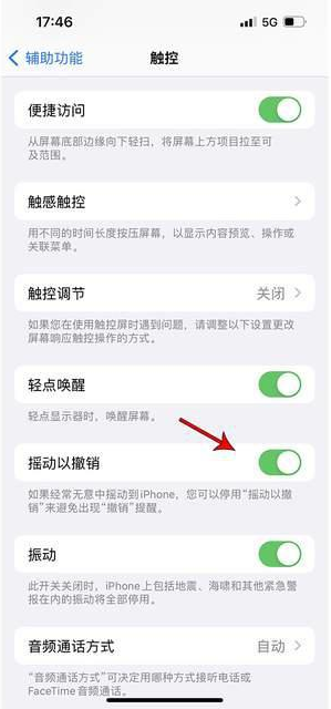 江门苹果手机维修分享iPhone手机如何设置摇一摇删除文字 