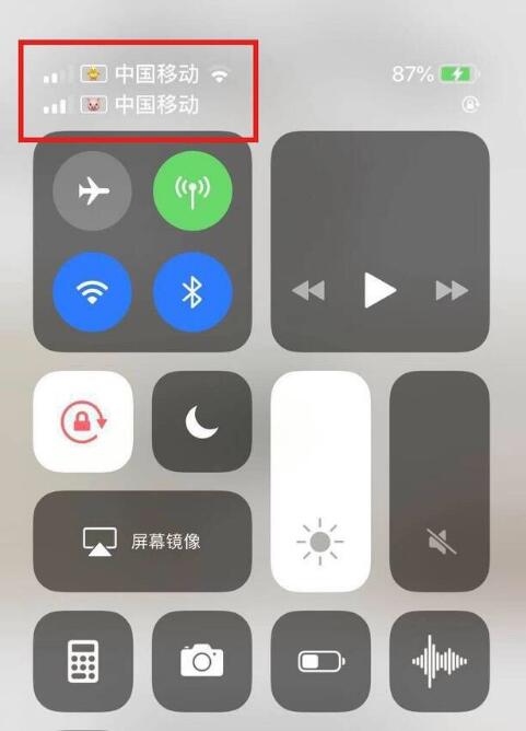 江门苹果手机维修分享为 iPhone 12 双卡设置标签 