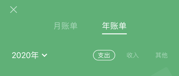 江门苹果手机维修分享如何在 iPhone 上查看支付宝和微信年支出账单 